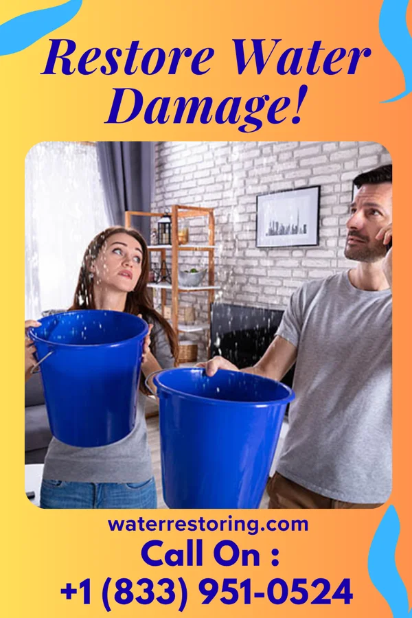 water restoration Silver Water Damage Professionals Estell Manor