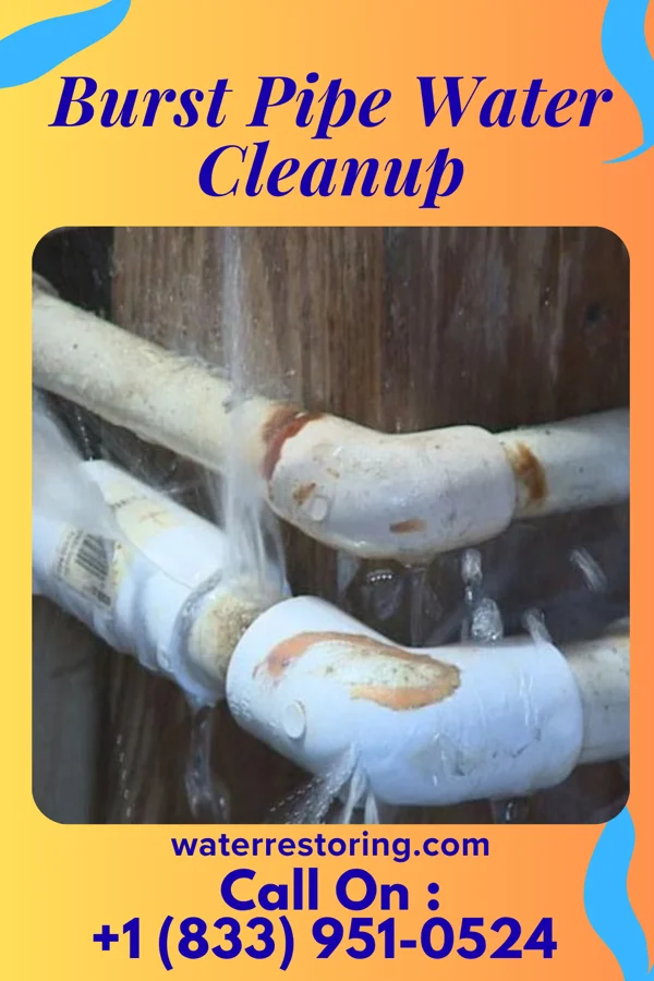 Burst Pipe Water Cleanup in Estell Manor, NJ