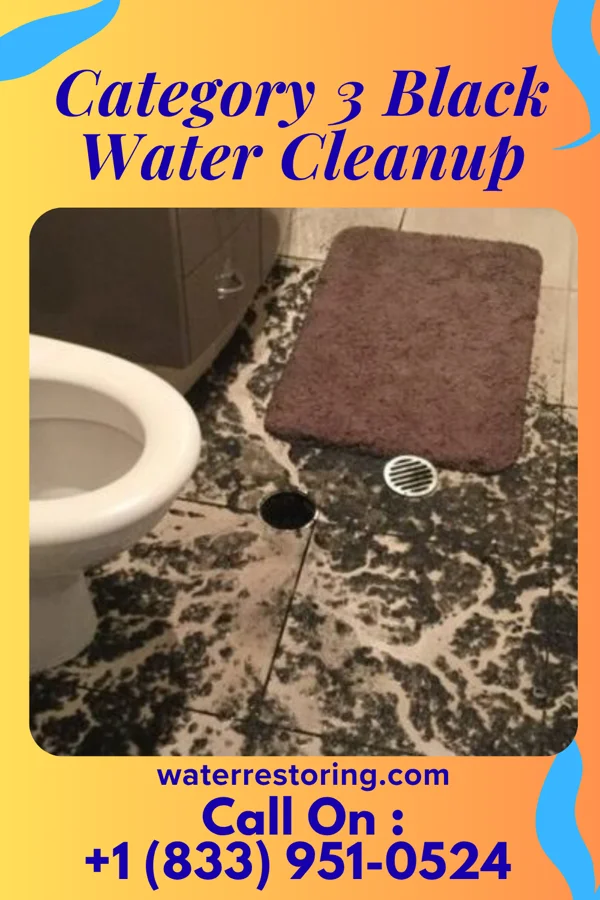 Category 3 Black Water Cleanup in Estell Manor, NJ