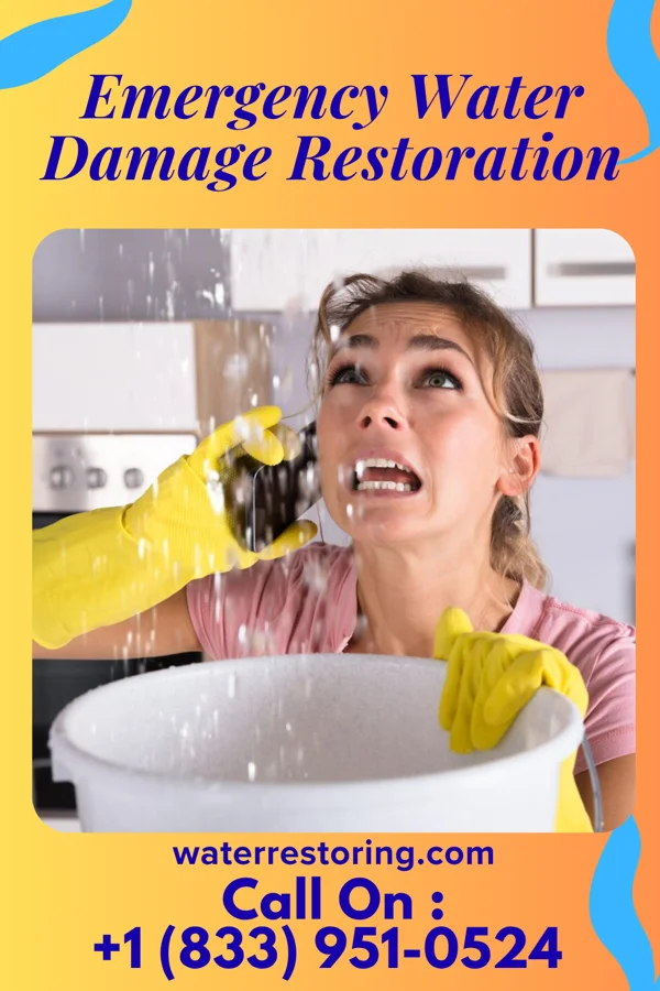Emergency Water Damage Restoration in Estell Manor, NJ