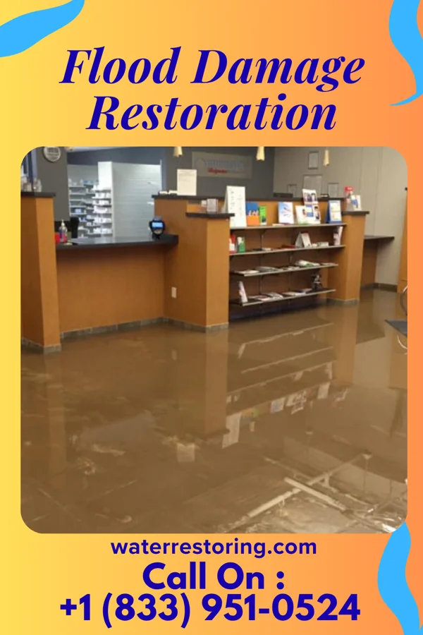 Flood Damage Restoration in Estell Manor, NJ