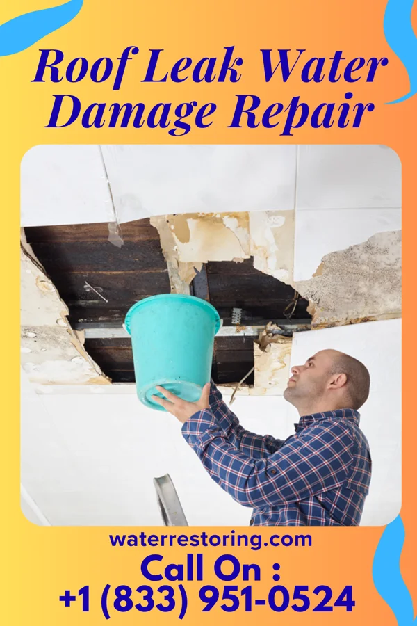 Roof Leak Water Damage Repair in Estell Manor, NJ